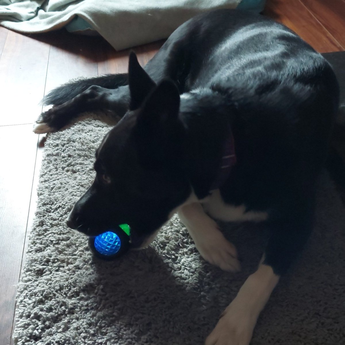 shellymah's tweet image. #NewProfilePic