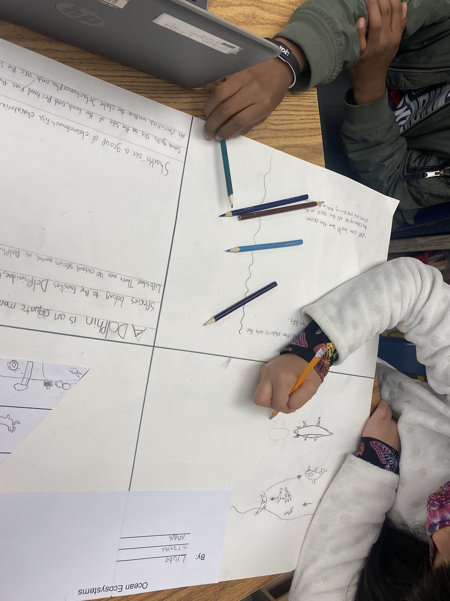 Brittany Thomas tweet media