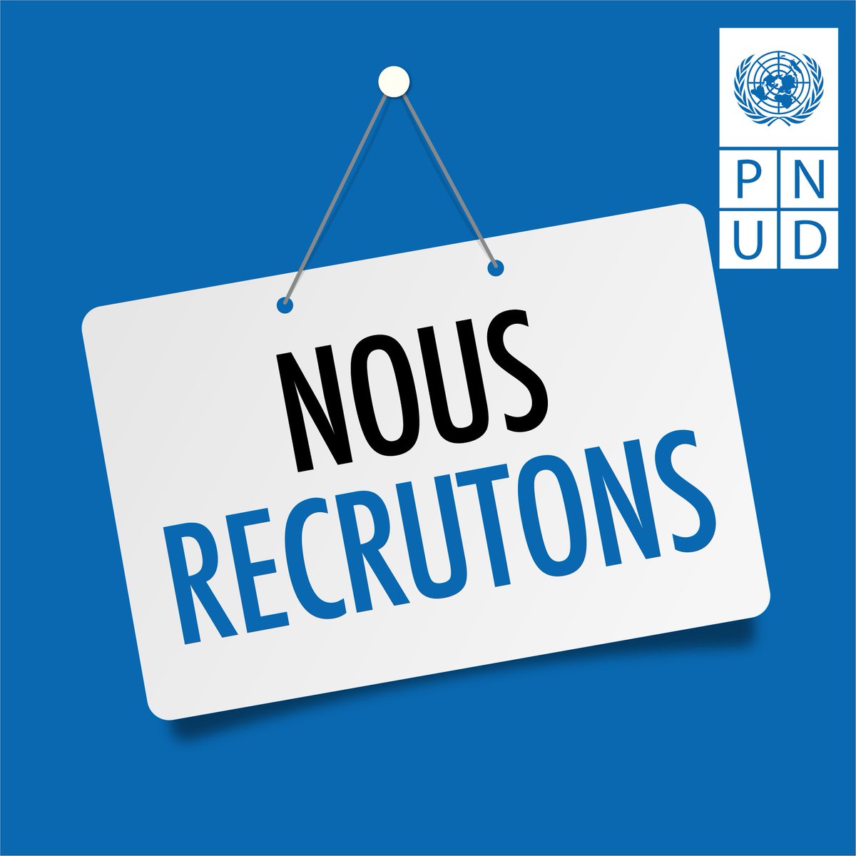 PNUD Haïti tweet media