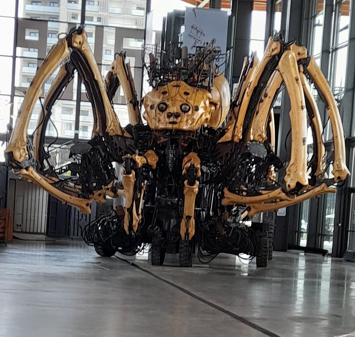 Masti__'s tweet photo. Grosse dédicace aux arachnophobes 🕷😉 https://t.co/D2KAvrvzTB