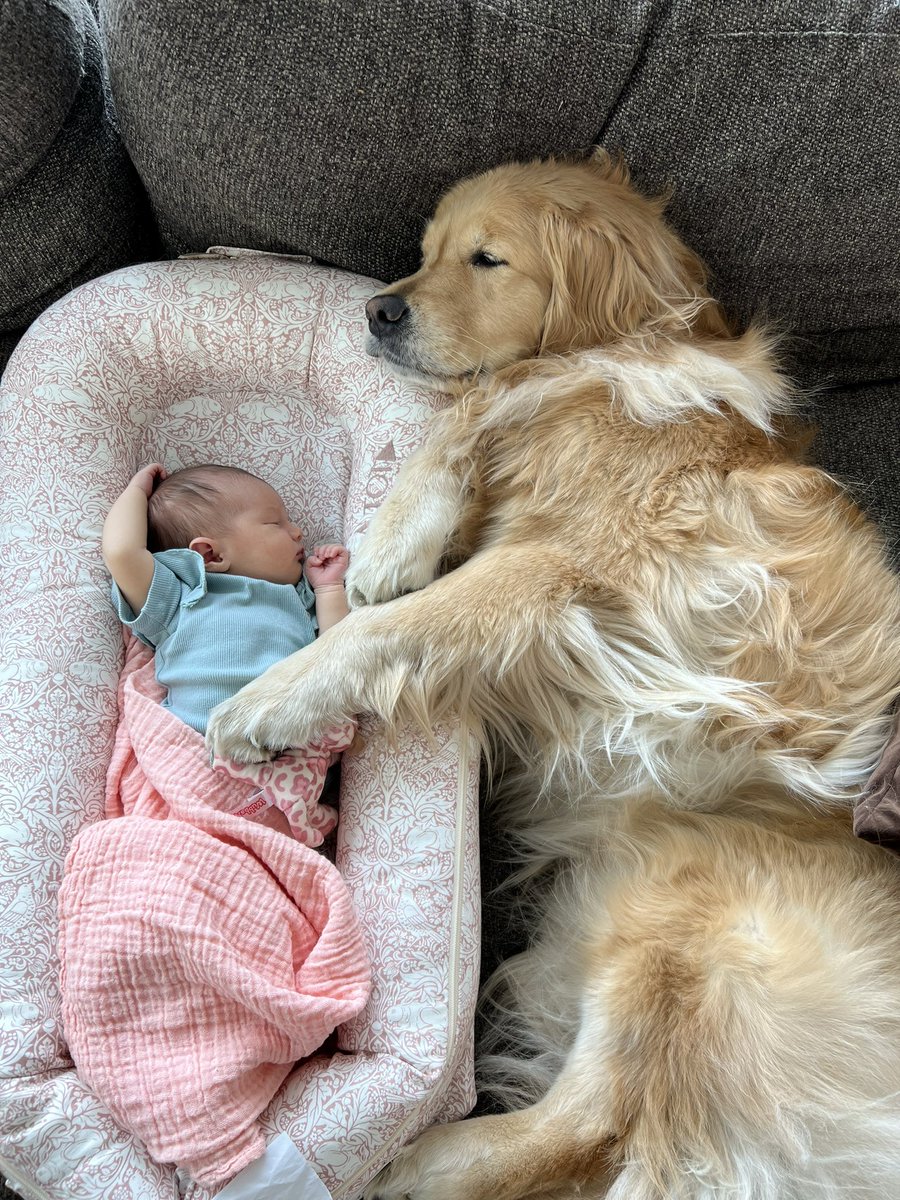 napathegolden tweet picture