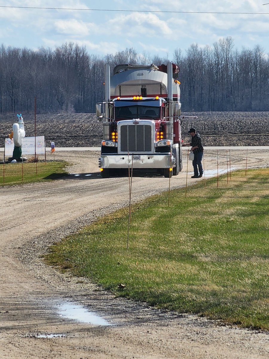 tutz81's tweet photo. Lots of talk/concern about Avian Flu. Biosecurity has always been important on poultry farms, not much has changed for a farmers everyday.
Any deliveries/pickups are taking extra precautions, spraying tires prior to entering yards &amp; increased PPE.
A clean barn is a safe barn. https://t.co/4v72Lqu4np