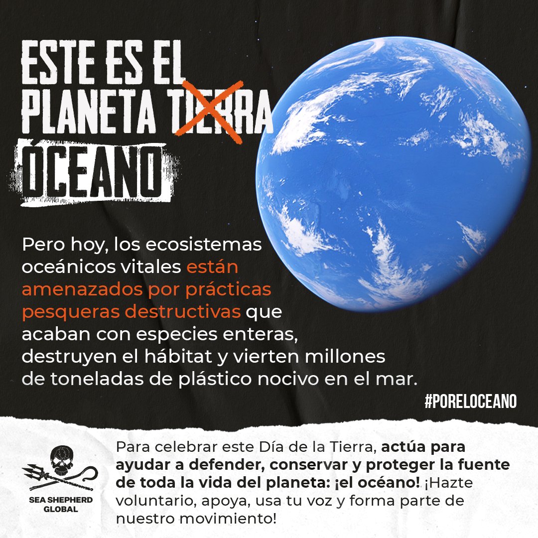 Sea Shepherd España tweet media