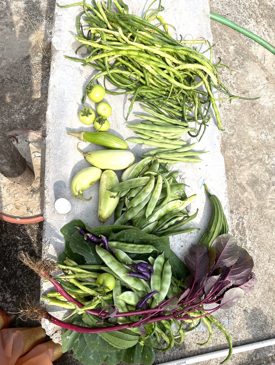 SahooA7777's tweet photo. On #EarthDay,let's pledge to keep our planet healthy by planting more trees and promoting harmony with nature for a better future for mankind. Mother earth 🌎 needs our little care,earth would give a lot. #Odisha #saveearth #organic #motherearth #mothernature #benatural #SaveSoil https://t.co/wfBIRBvjAf