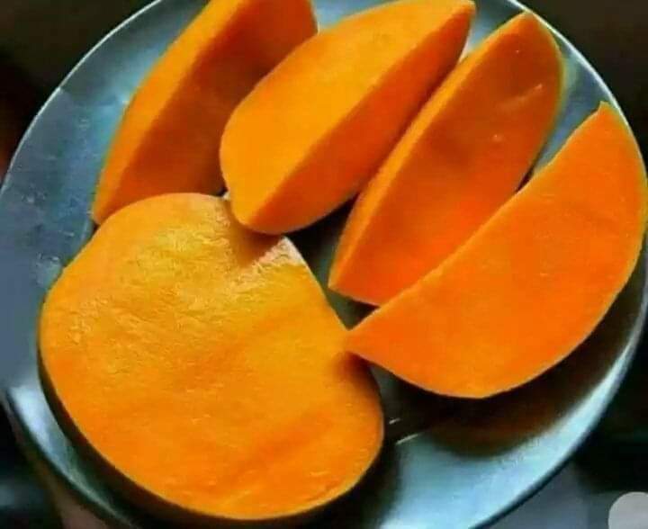 AvinashSukla3's tweet image. अगर आपको भगवा से परहेज है तो आम मत खाएं क्योंकि

घर घर भगवा छाएगा जब आम का सीजन आएगा....