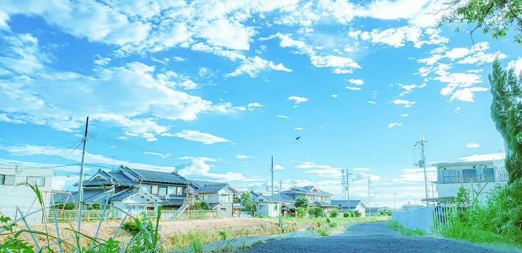 Sorani___Ao's tweet photo. 夏の終わりの初夏の気温は
気持ちをとっくに乗せてた。 https://t.co/YNTX048DQH