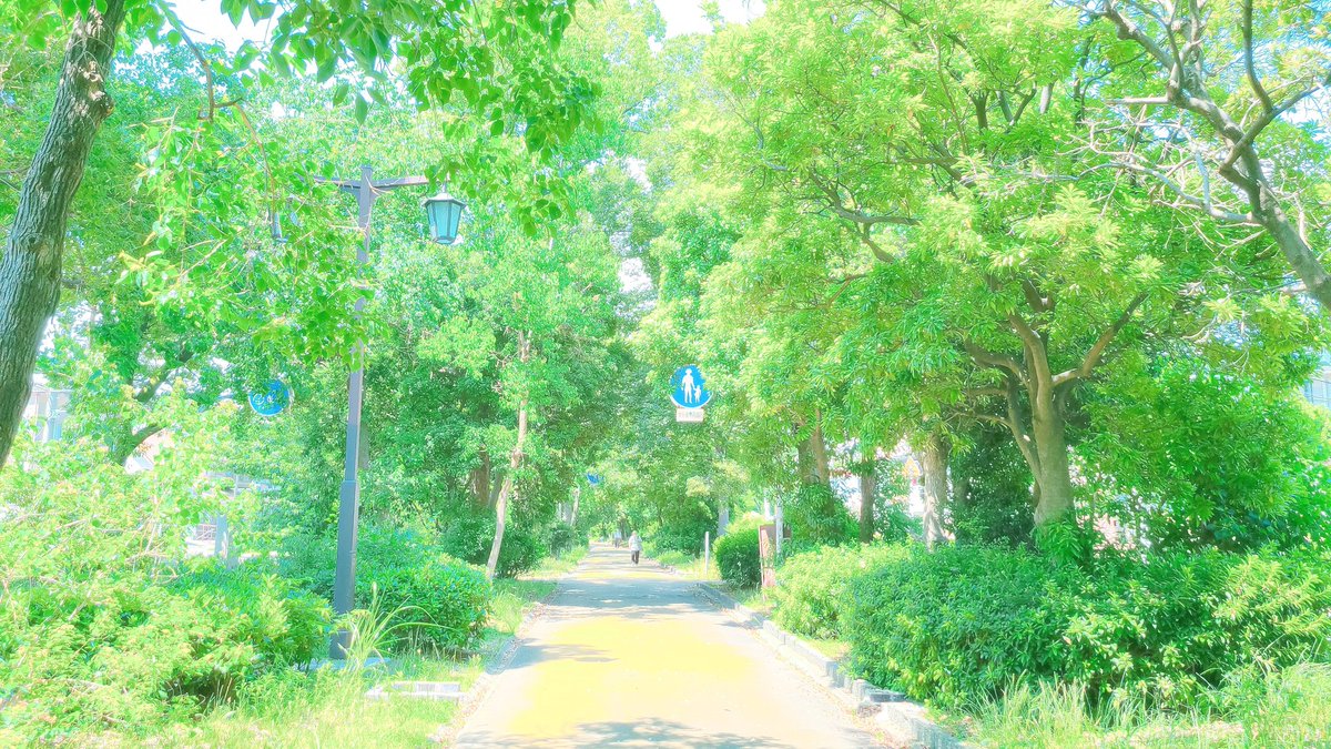 Sorani___Ao's tweet photo. 夏の終わりの初夏の気温は
気持ちをとっくに乗せてた。 https://t.co/YNTX048DQH