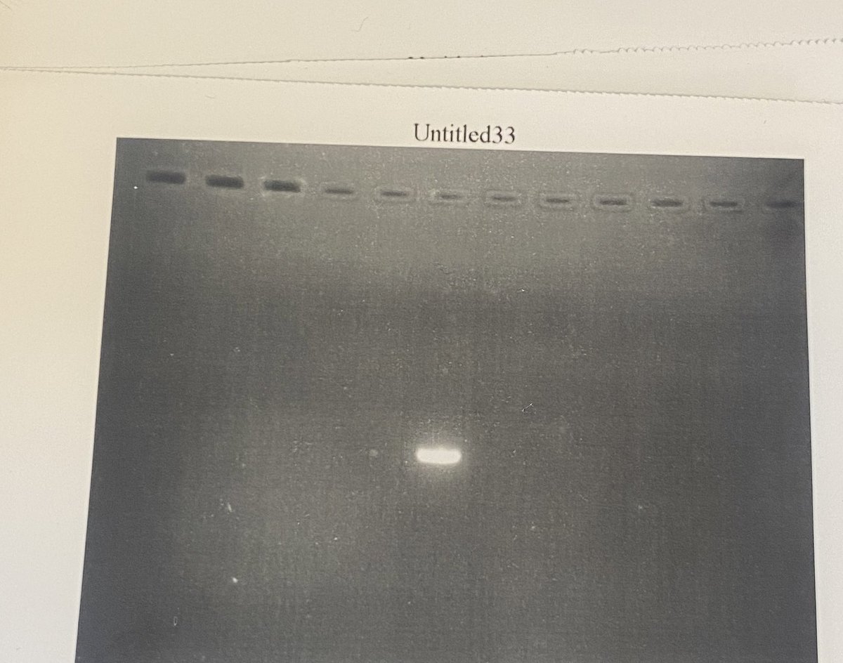 Dr Daniel Ranson (@drdanielranson) on Twitter photo Just seen on a students desk… I have questions. Just seen on a students desk… I have questions.