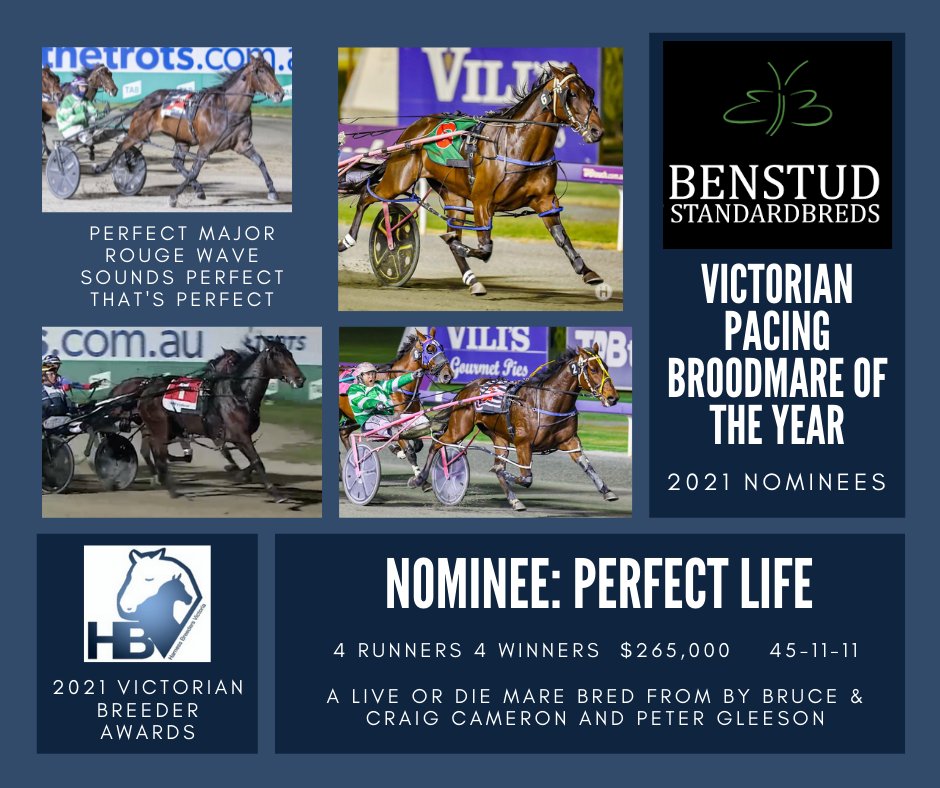 HarnessBreedersVic tweet media
