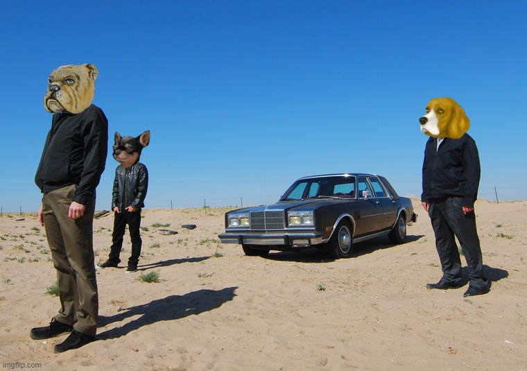 Mobster Mutts | FREE MINT LIVE tweet media