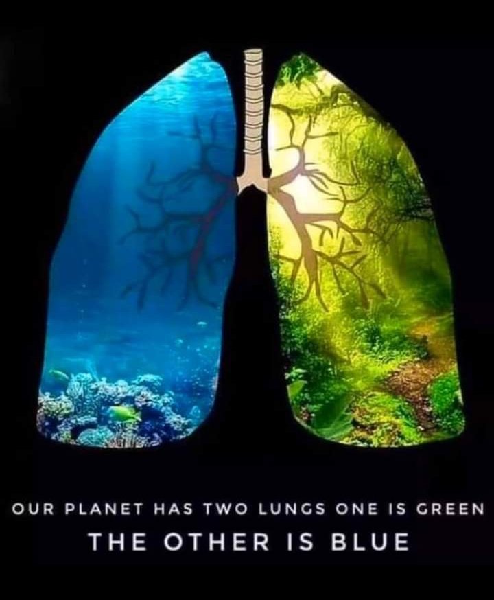 BSF_ANO_Command's tweet photo. Happy Earth Day 🌎🌳🌴

Go green and save our planet 

#EarthDay
#environment
#GoGreen https://t.co/03TfnaPLbL