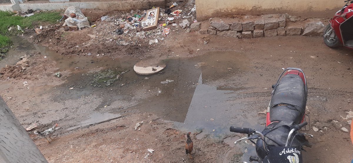 GaneshDevarak14's tweet photo. Drainage problem since 10 years this is the situation going  but no one is solving Nanakramguda  Serilingampally(MS.C basthi near community hall (JBM WELFARE ASSOCIATION COLONY )@ZC_SLP @GandhiArekapudi @KTRTRS @VGangadharBJP @CommissionrGHMC @DC_Serilingmply @ee_serilingmply https://t.co/2dyROpQXJS