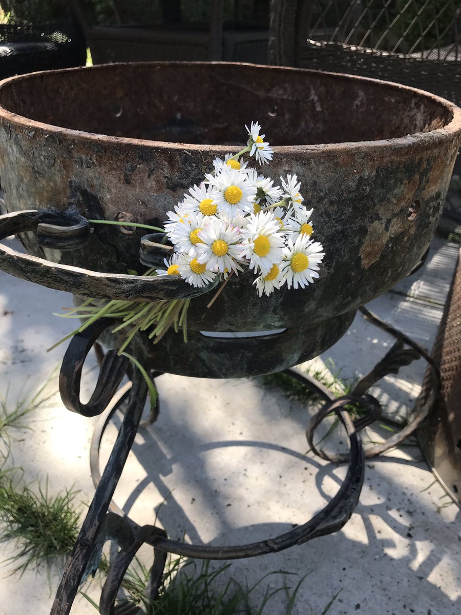 Paslı eskimiş..olsun.
Benim için yenisinden değerli.
Çok seviyorum.
Papatyalarımı ona verdim.

Son.👇