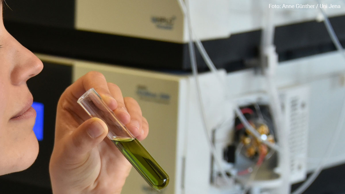 With the SMELLODI project, researchers <a href="/UniJena/">Universität Jena</a> and partner institutes aim to develop intelligent electronic #sensors to analyse body odours. The technology has the potential to become a rapid and non-invasive diagnostic tool for #HealthCare.

➡️ uni-jena.de/en/220422-smel…