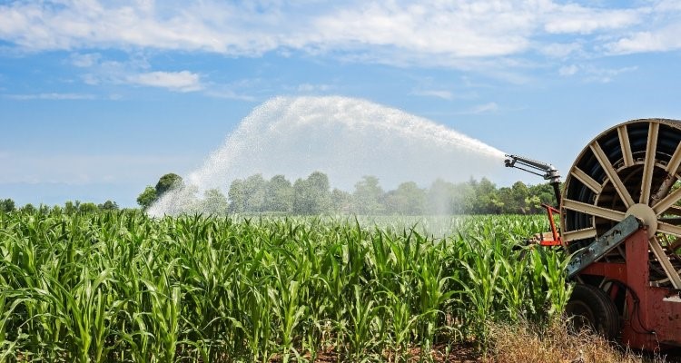 Dr. Inge de Graaf (@inge_degraaf) on Twitter photo Are you looking for a PhD? or a Postdoc? I have two positions open in my #ERCStG project. <a href="/WURenvironment/">WUR Environmental</a>
PhD Environmental Limits to global groundwater use➡️bit.ly/3MqUlyr
Postdoc Modelling groundwater use and crop production ➡️bit.ly/3k2pgFf Are you looking for a PhD? or a Postdoc? I have two positions open in my #ERCStG project. <a href="/WURenvironment/">WUR Environmental</a>
PhD Environmental Limits to global groundwater use➡️bit.ly/3MqUlyr
Postdoc Modelling groundwater use and crop production ➡️bit.ly/3k2pgFf