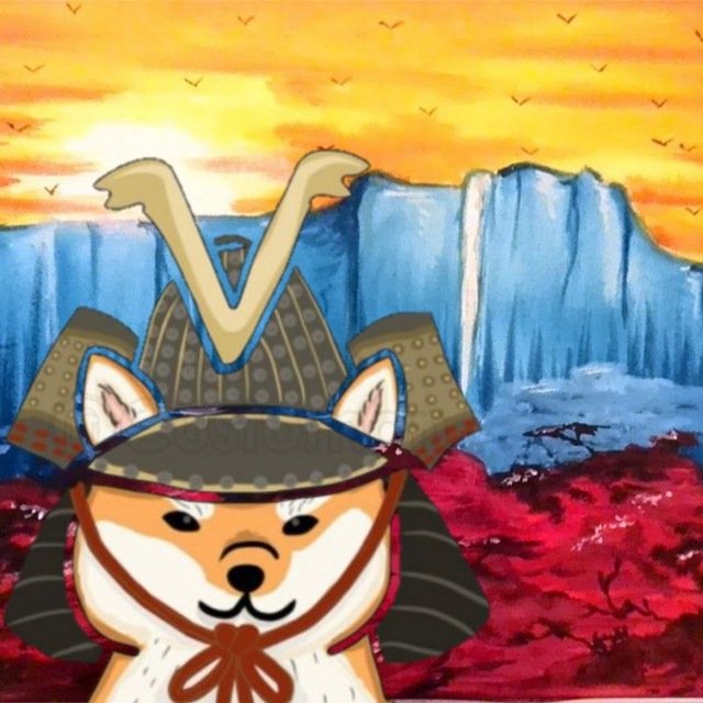 shiba warrior tweet media