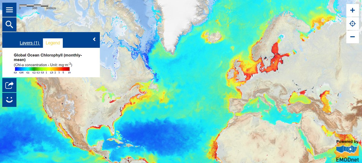 With the #MapOfTheWeek, learn about #chlorophylla, #phytoplankton, the #DigitalTwinOcean and the first Digital Ocean Forum #DOF!

➡️webgate.ec.europa.eu/maritimeforum/…

#MarineData #STEM