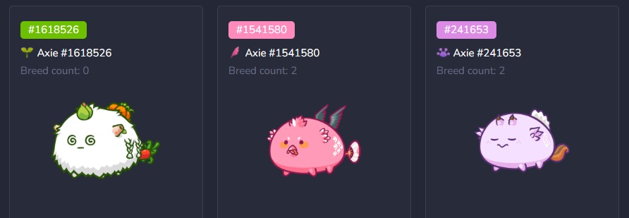 GamesTwenty1's tweet photo. Inviting #AxieinfinityScholarship !

🥇🥈🥉 Scholarship #33🥈🥉

We are looking for scholars.

-Make sure you Follow this profile. 
-Comment ‘I Want Scholarship’ on this tweet.
Check the Axie team: https://t.co/gvrpWs9aZy

#Axieinfinity #AxieInfinityScholar #AxieScholars #Axie https://t.co/xEDhCANnCI