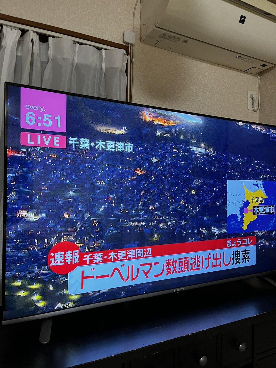 木更津ドーベルマンどこへ 逃げた場所は ブリーダーが飼い主 Trendview
