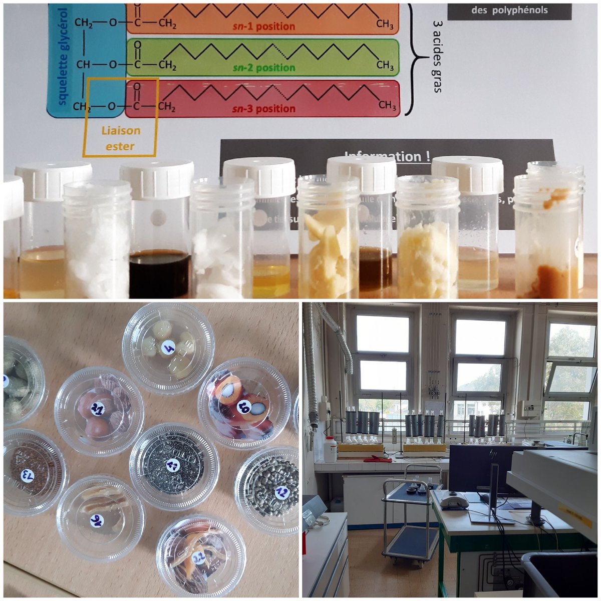 LemonnierParis's tweet photo. Découverte du site de l’@INRAE_IDF pour les #1STL de @LemonnierParis dans le cadre de l’initiative « Des Plantes et des Hommes ». Au programme : activités de médiation sur la domestication des plantes, atelier sur la qualité des huiles végétales et visite des laboratoires ! https://t.co/5JrW7NEGS1