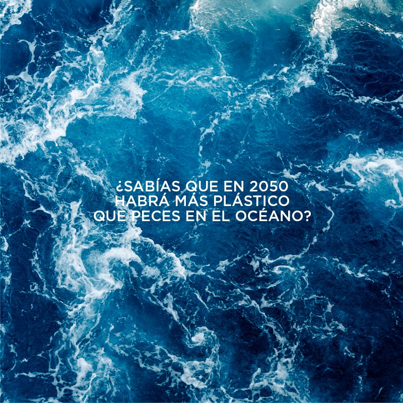 Cuidemos de nuestros océanos, de nuestra Tierra, de nuestro mundo 🌱🌎

Cuidemos de los animales, de las plantas.

Cuidemos de nosotros.

#MardeFrades #Albariño #DoriasBaixas #DiaDeLaTierra