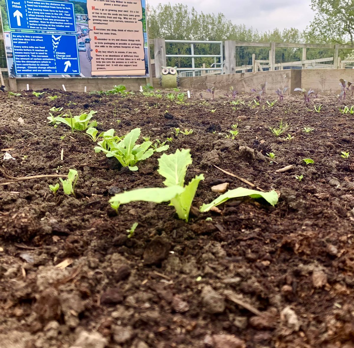 All Things Wild tweet media