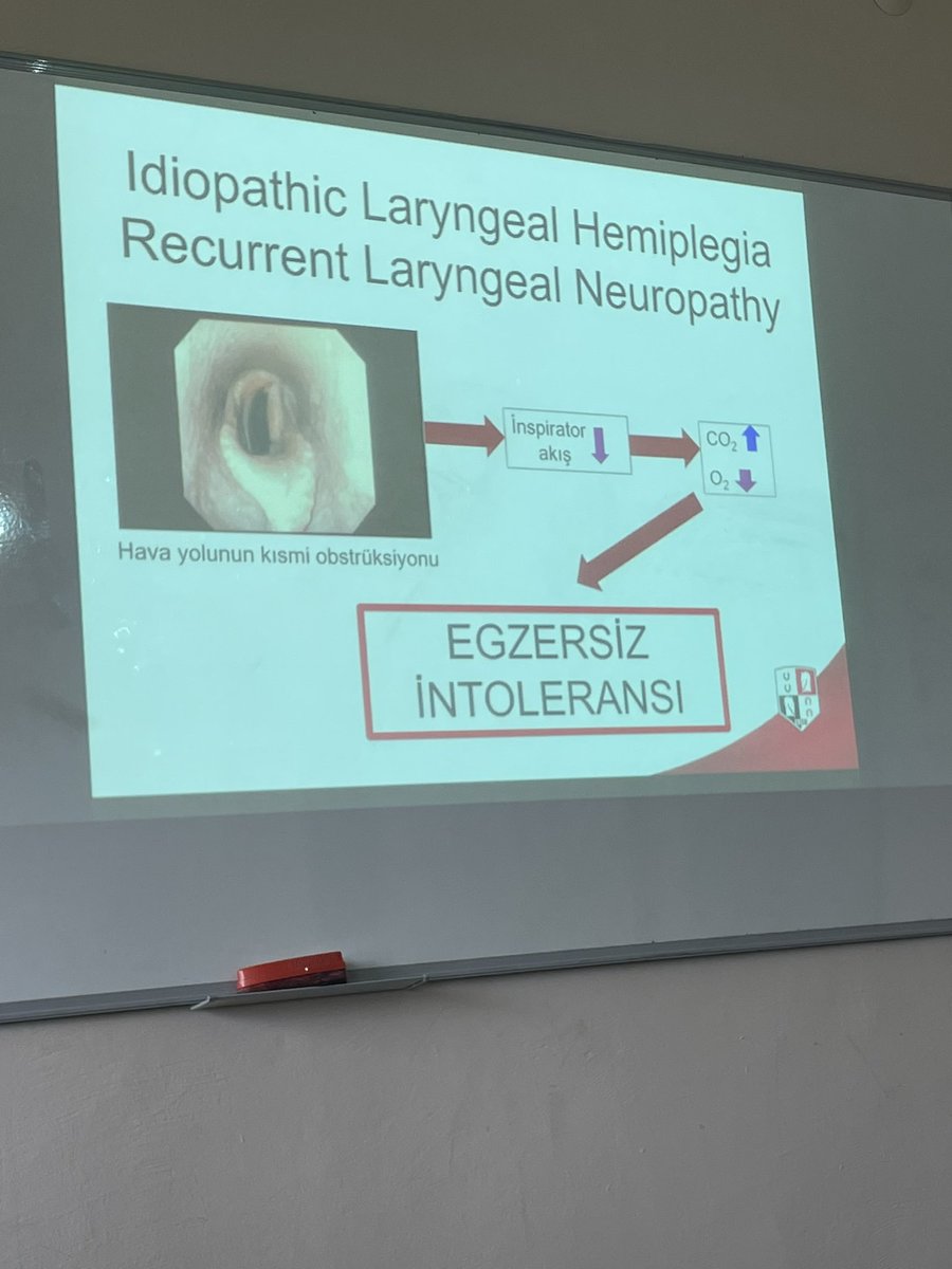 VeliAkbulut74's tweet photo. Bugün okulumuz @buumennanpatmyo Değerli Veteriner Hekimimiz Zeynep Özer in katılımıyla Kornaj ve Yumuşak Damak hakkında verilen seminer ile öğrencilerimiz bilgilendirildi. Bu imkanı öğrencilerimize sunan başta hocamız Gülşen Goncagül ve hekimimiz Zeynep Özer e teşekkür ederiz. https://t.co/Q7wA04LQXF