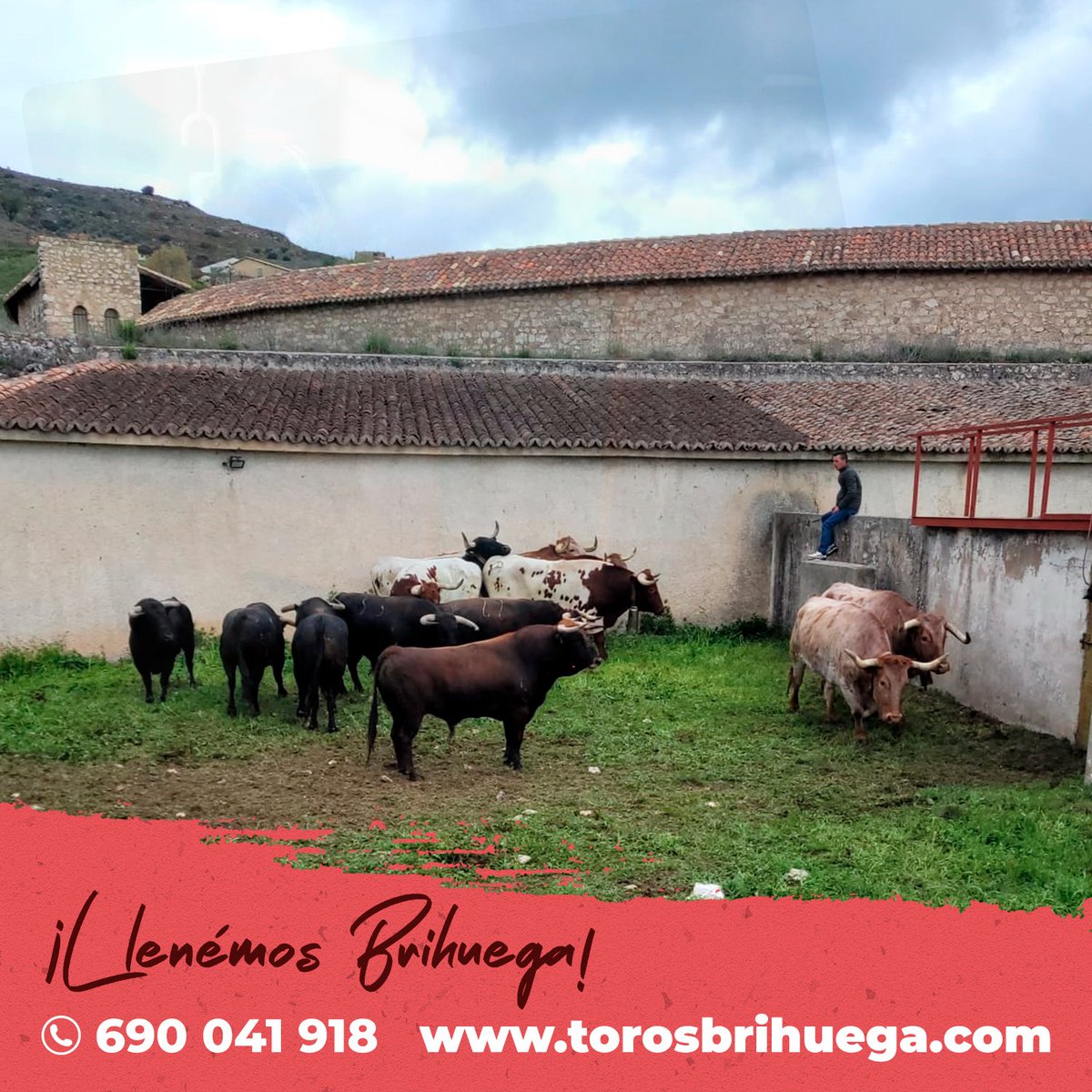 💥𝗟𝗼𝘀 𝘁𝗼𝗿𝗼𝘀 𝗱𝗲 𝗘𝗹 𝗧𝗼𝗿𝗲𝗿𝗼, 𝗲𝗻 "𝗟𝗮 𝗠𝘂𝗿𝗮𝗹𝗹𝗮".

Serán lidiados mañana a las 18h. en la corrida de primavera por 𝗠𝗼𝗿𝗮𝗻𝘁𝗲, 𝗨𝗿𝗱𝗶𝗮𝗹𝗲𝘀 𝘆 𝗚𝗶𝗻𝗲́𝘀 𝗠𝗮𝗿𝗶́𝗻.

VENTA DE ENTRADAS: 👇
🔗 bit.ly/torosbrihuega
👉 <a href="/VilladeBrihuega/">VilladeBrihuega</a>