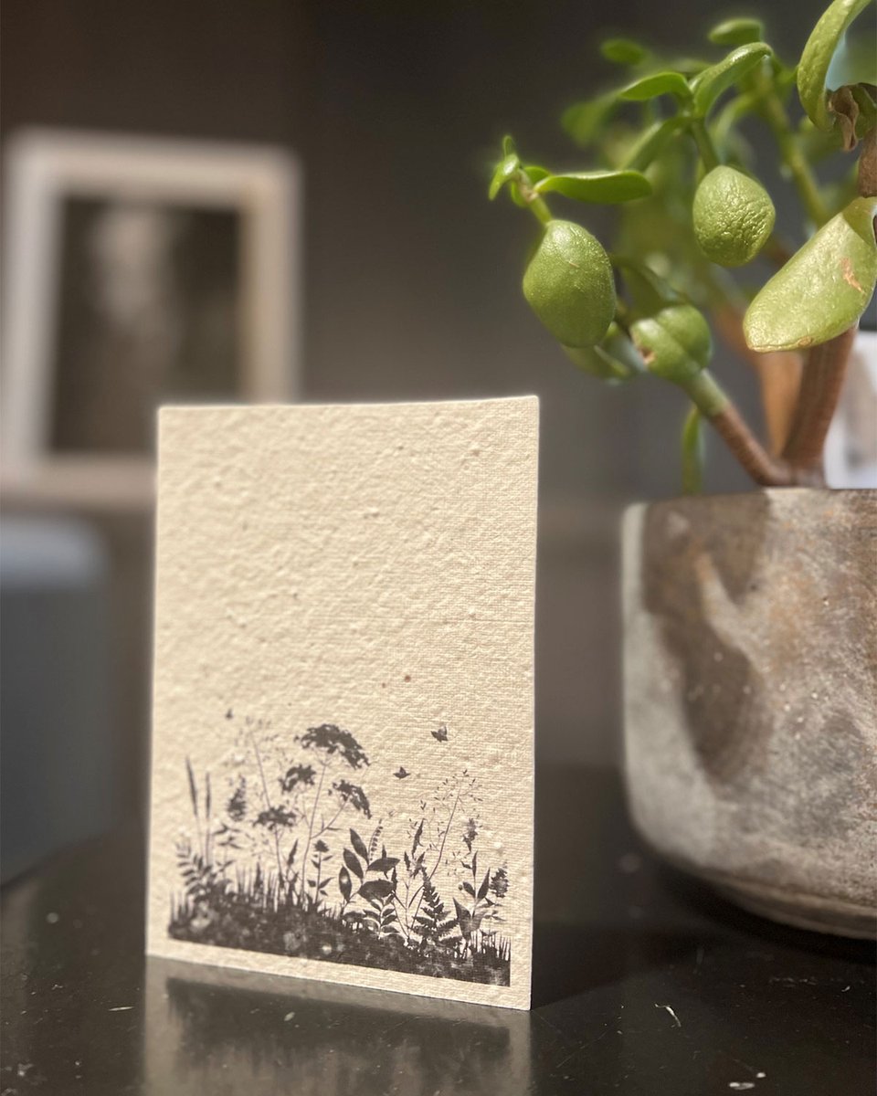 Meadows sequester as much carbon as woodlands which helps fight climate change. For #earthday2022 we’ve gifted our quietly competitive team in London with biodegradable cards to grow their very own meadows across the city.