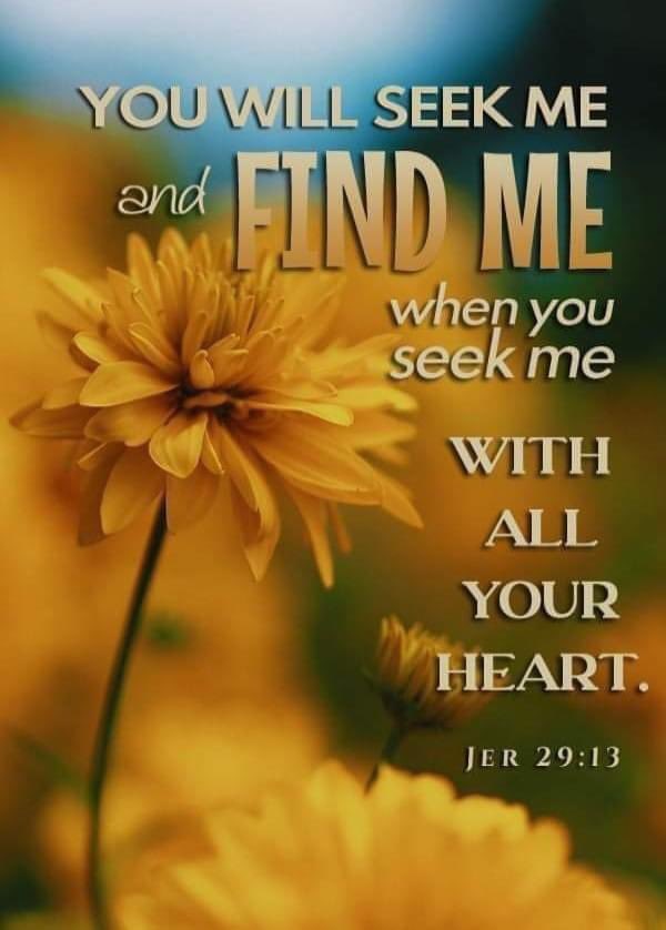 AnitaLea1's tweet photo. Good morning! Have a blessed day!❤️🌸🌸🌸🌼🌼🌼 https://t.co/X7jeWUKoSN