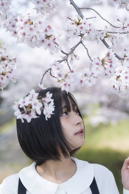 コスプレイヤーやよっぺ。のTwitter画像24