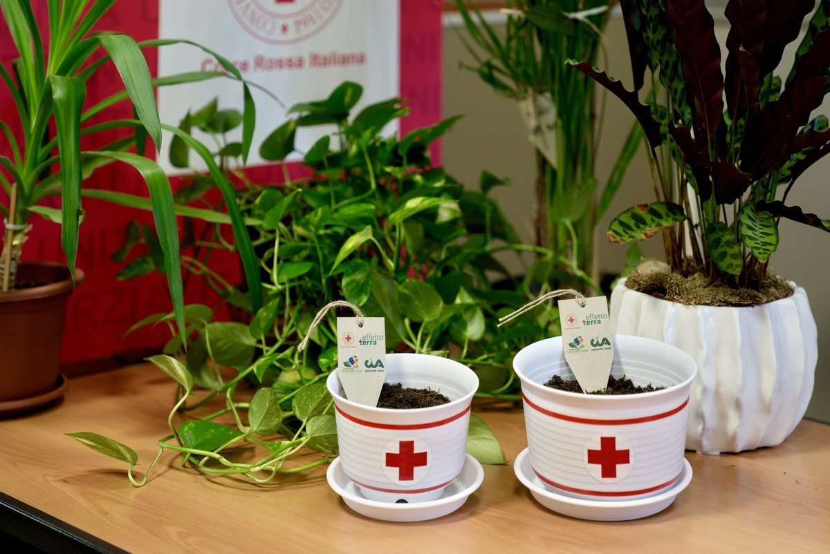 🪴 La tutela dell'ambiente passa anche attraverso piccoli gesti! Da oggi #EarthDay, gli uffici del Comitato Regionale della #CroceRossa del Piemonte sono un po' più verdi grazie ai semi donati dai partner della campagna contro la crisi climatica #EffettoTerra 🌍