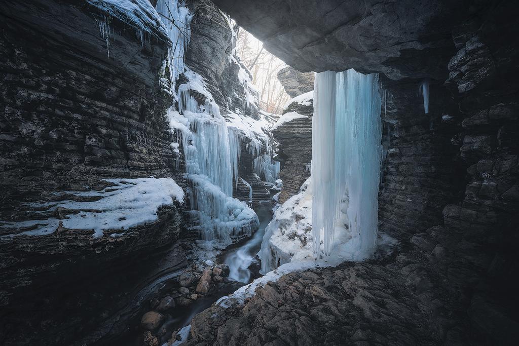 Francesco Dall'Olmo tweet media