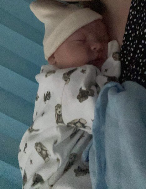 crazyn0tion's tweet photo. My gorgeous guy 🥰🥰🥰 https://t.co/PqZAJ6rblP