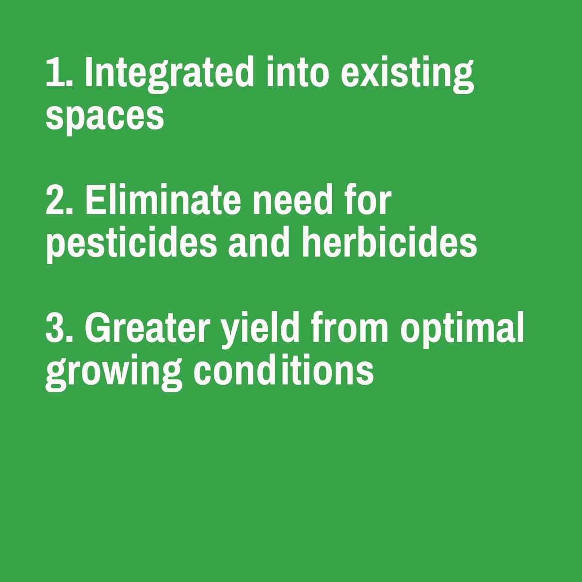 Dandelion tweet media