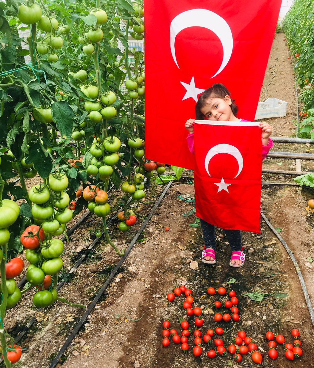 #23nisan çiftçi çocuğu serada kutlar ❤️❤️❤️❤️