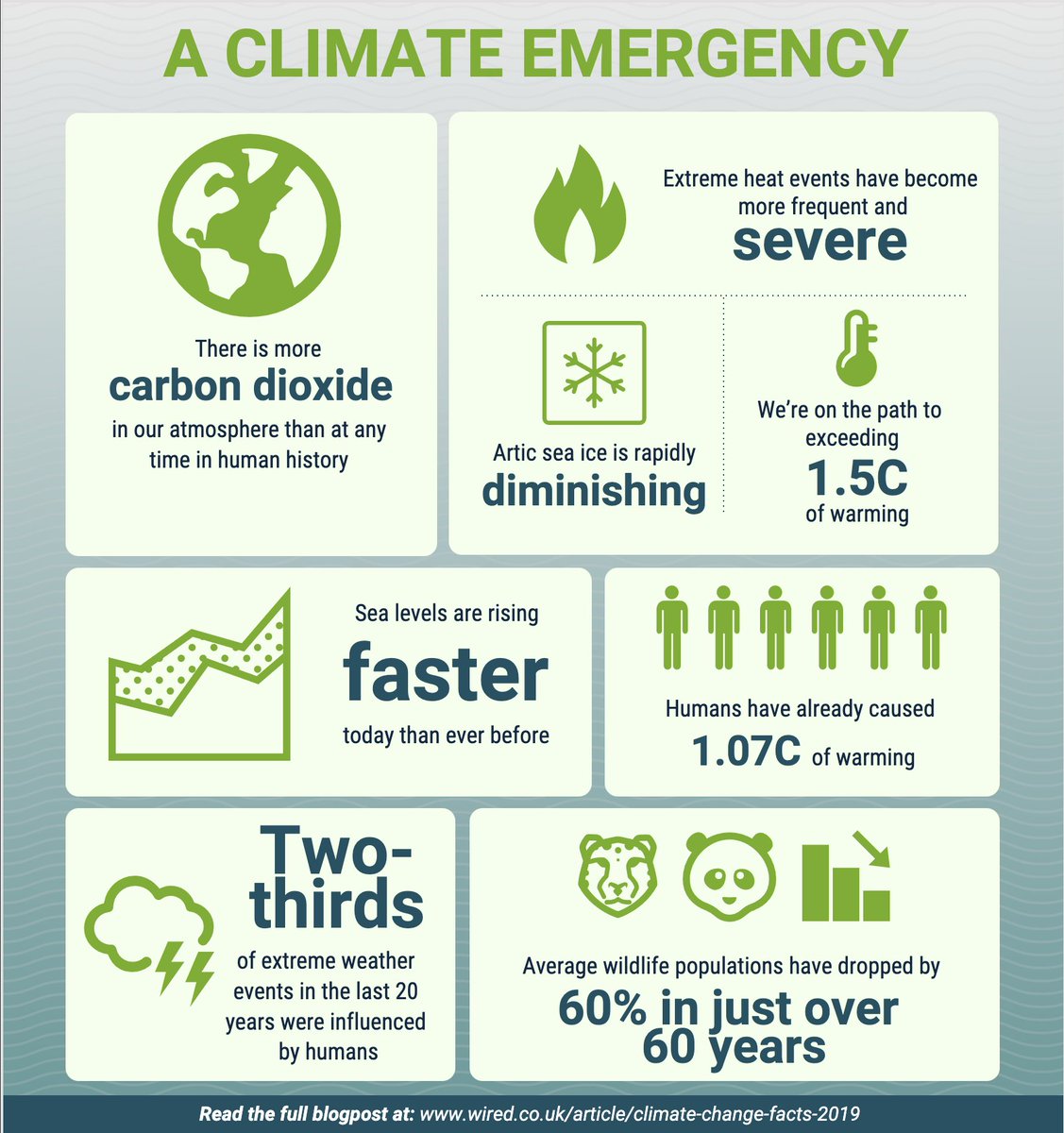_nectere's tweet photo. We only have one Earth, and we need to make a change to protect it. This #WorldEarthDay let's pledge to make every day an #EarthDay and ensure we are making the changes needed for a better future! #enviromental #future https://t.co/Jj5O7V2pzG