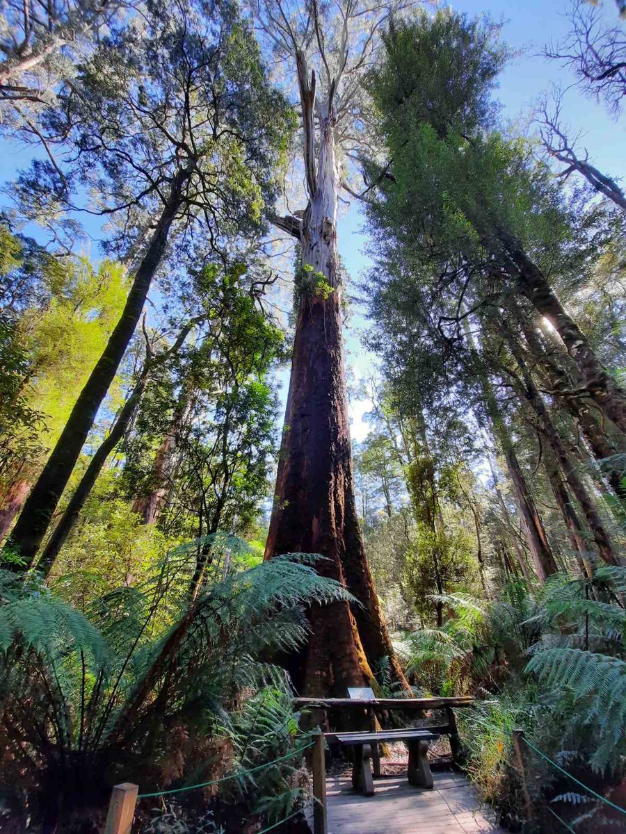 AUCheeYNg's tweet photo. Happy Earth Day https://t.co/NRYsj0NuCk