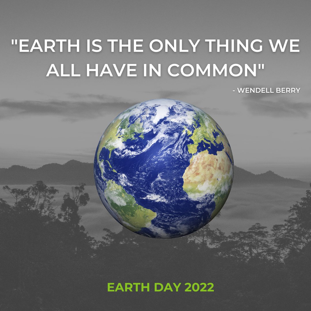 Wild Eye tweet media