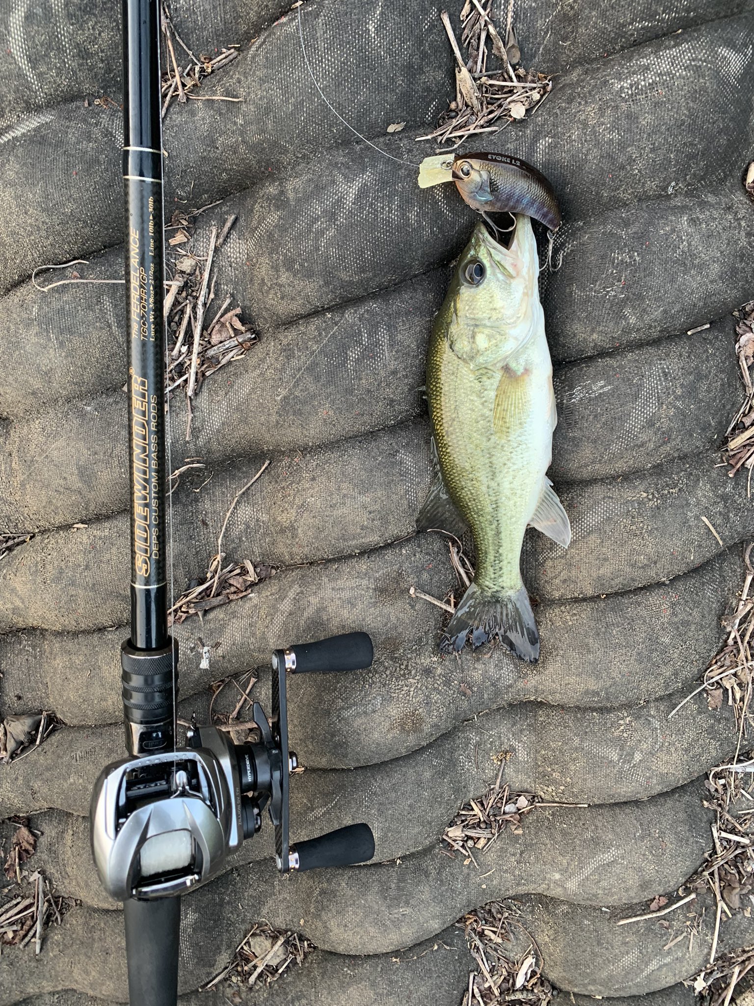 キムケン　イヴォークシャッド　サーキットバイブ　マグタンク付き！お買い得 フェルデランス アウトドア・釣り・旅行用品 デプス キムケン イ