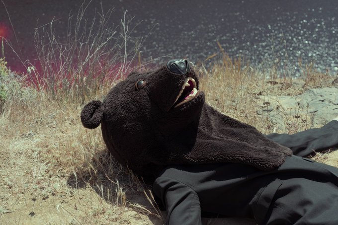 "Dear bear" 🥰 GM Fam! Have a nice day!!! #nftphotography https://t.co/7UfH6w83I7<a href="/tag/nftphotography"class="tags">#nftphotography</a>