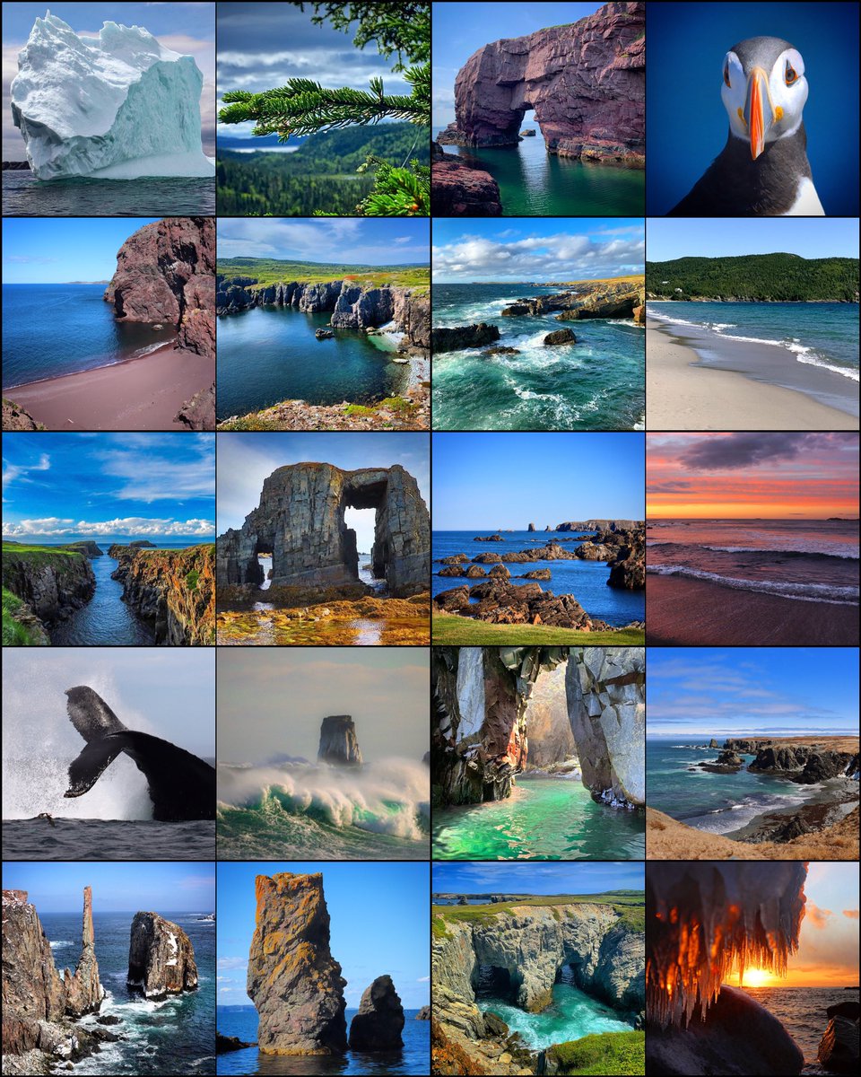 Good Morning!
Happy Earth 🌍 Day!
#EarthDay22 #exploreNL