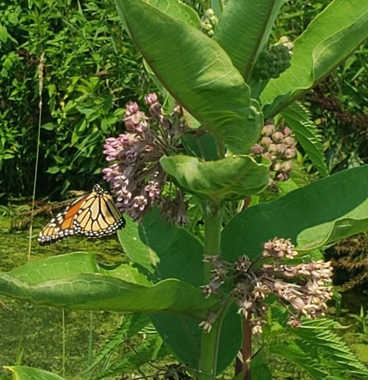 Ryan Heiniger tweet media