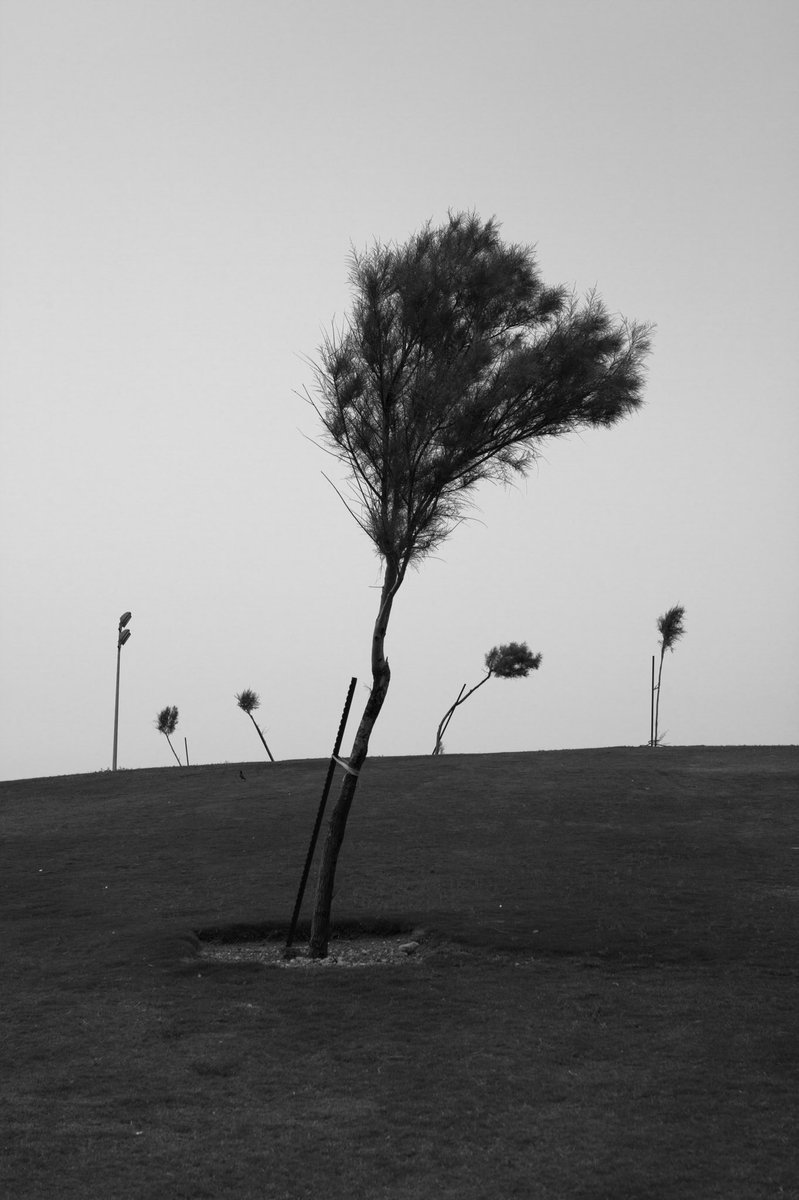 Pinkrnell tweet media