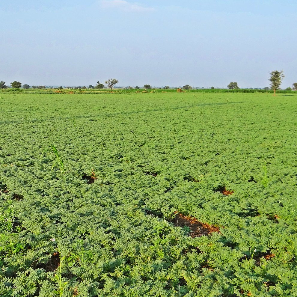 En Burcol somos plenamente conscientes de nuestra responsabilidad en la cadena de consumo de alimentos y apostamos por el uso de las nuevas tecnologías para mejorar e impulsar nuestra forma de entender la alimentación.innovagri.es/comunidad/burc…