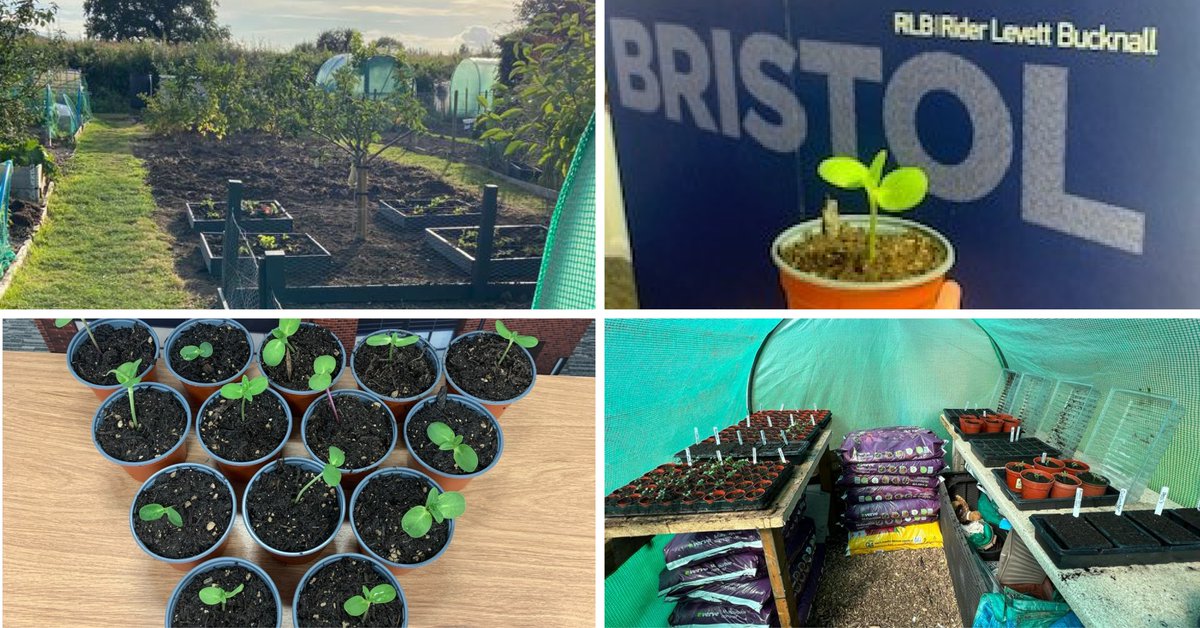 rlb_uk's tweet photo. We're committed to #InvestingInOurPlanet. 
For #EarthDay22  our teams have been switching to eco-friendly products, litter picking and growing sunflowers to promote pollination. 
Thank you to all our colleagues. Together we can make a difference and create a better tomorrow. https://t.co/Dn3nyDawes