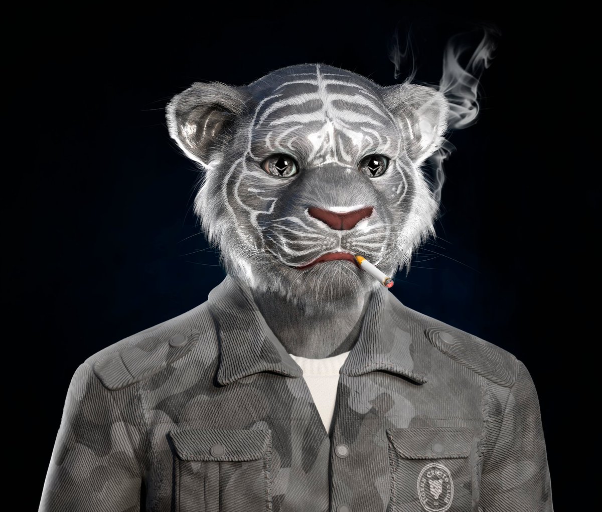 The Tiger soldier is now with us

Don't miss anything about what's coming ... 👀

Join us : discord.gg/tigerscryptocl…

#NFTProject