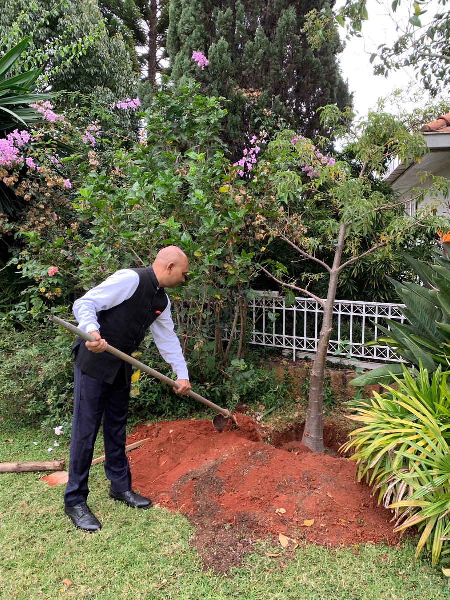 IndembTana's tweet photo. On the occasion of #EarthDay2022, Ambassador Abhay Kumar planted native trees of #Madagascar such #Baobab and #Ravinala (Traveller’s Palm) at the Embassy Residence in Antananarivo, Madagascar today. 🇮🇳 🤝 🇲🇬 https://t.co/UpPa5qFeFr