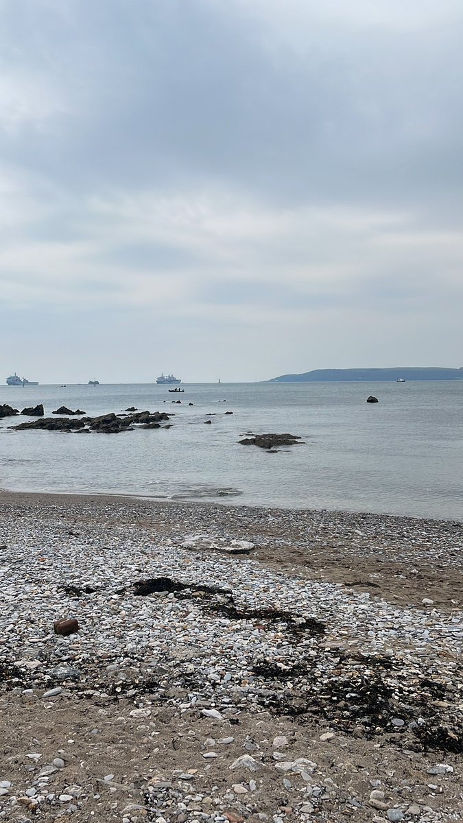 MusselMagic's tweet photo. Happy #EarthDay from us here at Mussel Magic! We’re down at Mount Batten collecting some footage for our project. Bonus point if you can spit the wag tail! https://t.co/lEW7DYKbcX