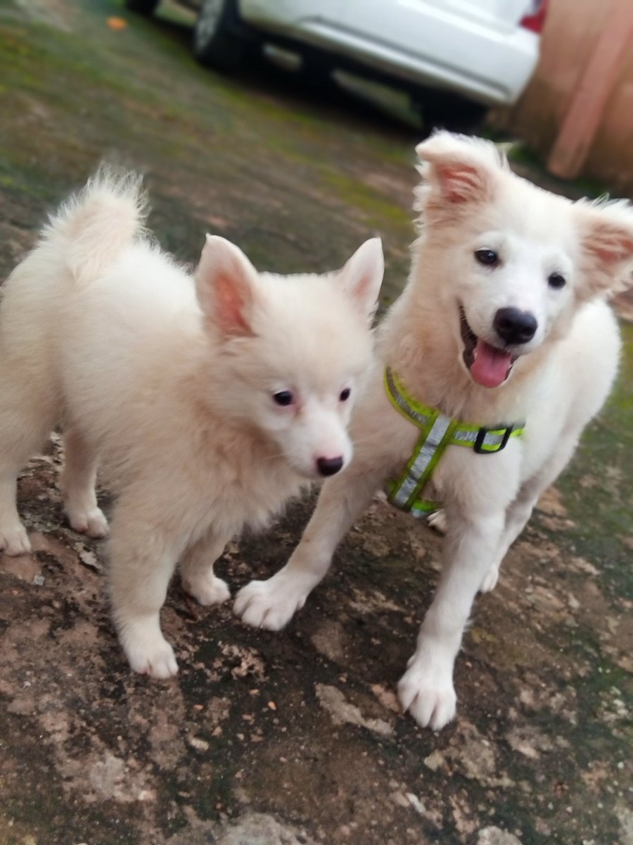 ọmọ ọba⛴️ tweet media